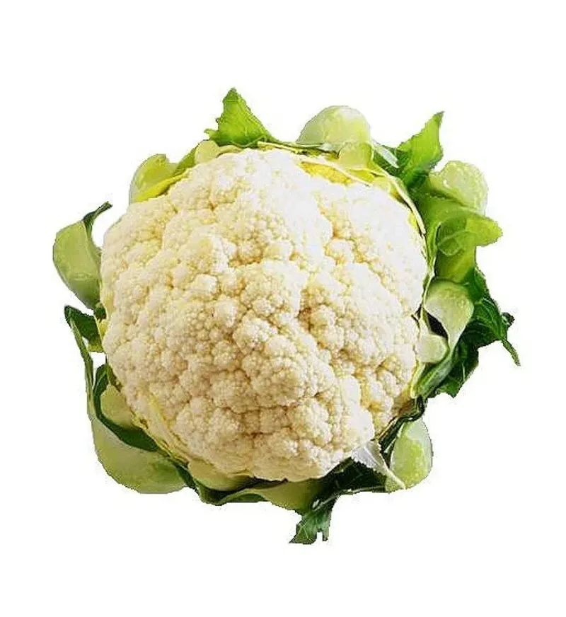 Cauliflower — پھول گوبھی