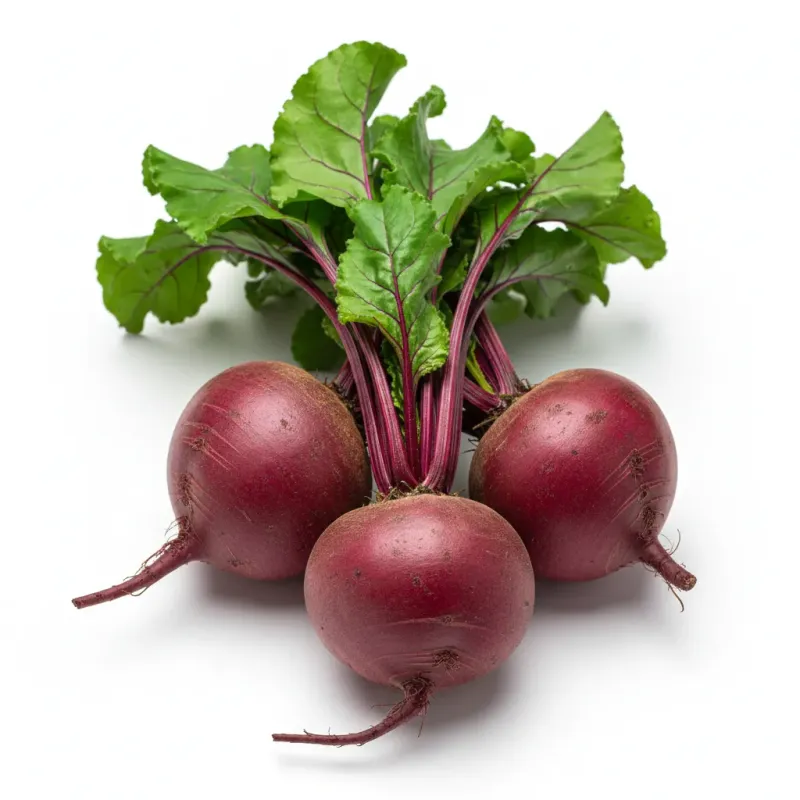 Beetroot — چقندر