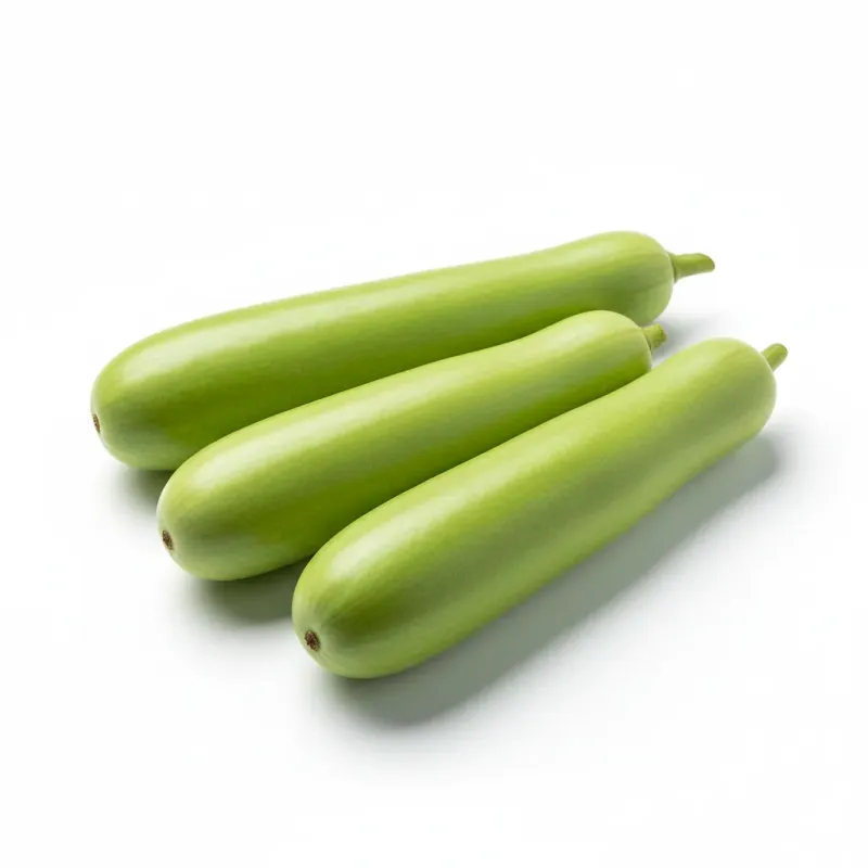 Bottle Gourd — لوکی